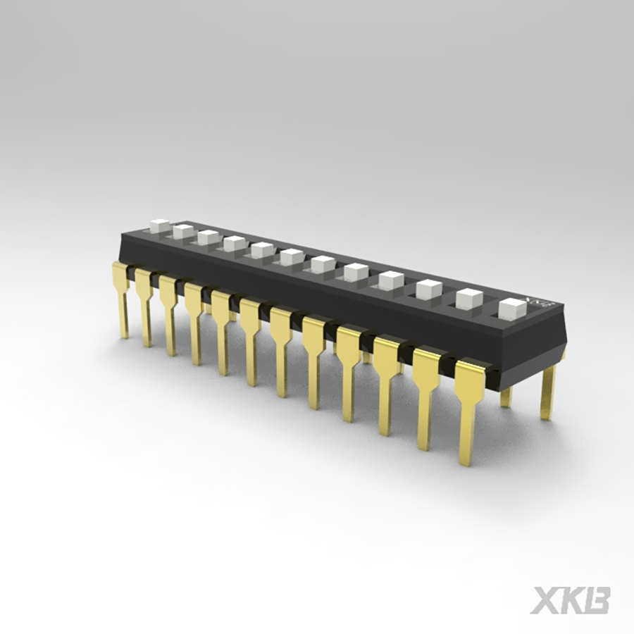 DSIC12LH-P-XKB Connectivity
